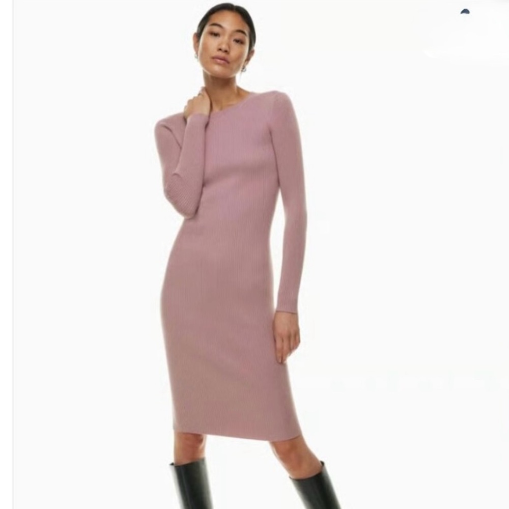 Aritzia Wilfred Townfolk Dress, mauve